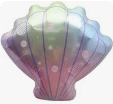 18" Sea Shell Multi Color