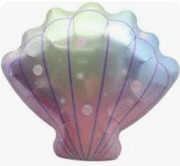 18" Sea Shell Multi Color